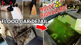 Deep Cleaning the MOLDIEST BIOHAZARD FLOOD CAR EVER! | Satisfying Disaster Detailing Transformation!