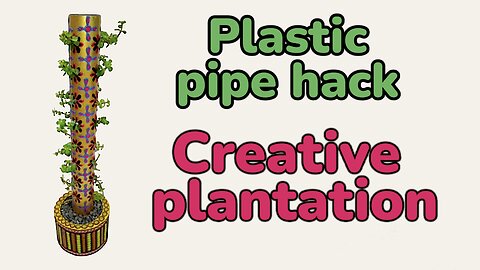 Creative plantation in plastic pipe. #garden #creative #handmade #homedecor #attractive