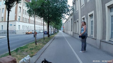 Handy und Hundi am Radweg, 30.06.2024 [C] Wien