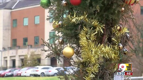 Teeny-tiny Christmas tree brings smiles to Alexandria Pike