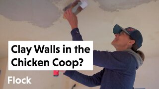 We CLAY PLASTERED the CHICKEN COOP Walls! — Ep. 098