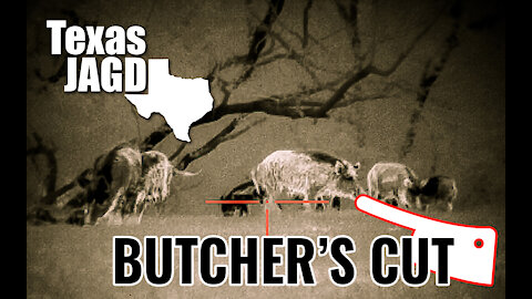 30-50 Feral Hogs Guy 🐗😂 [Butcher's Cut]