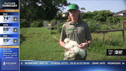 Hillsborough County hosts 4-H open house for students
