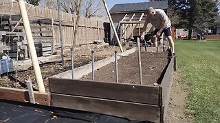 April 30, 2023 Planting carrots