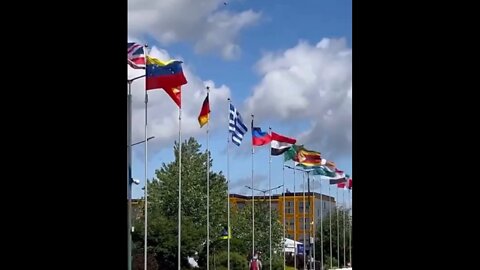 Flags of the DPR and LPR at the St. Petersburg International Economic Forum