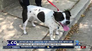Man arrested after dragging dog behind car