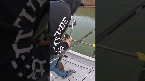 Big Cold Water Bass SMASHES Jig!