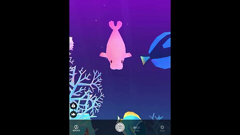 Adorable Manatee 💕 Abyssrium