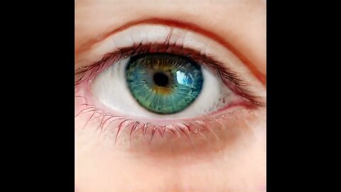 the human eye it can see more than 10 million colors and can detect more than 20 forms of light