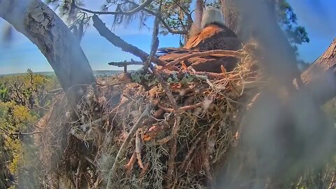 Time-Lapse at The Nest 2/21/2023
