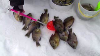 MidWest Outdoors TV Show #1609 - North American Ice Fishing Championship - Final Day