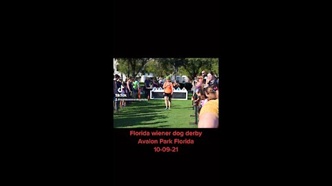Avalon Park Florida Octoberfest 10-9-21
