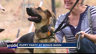 Bogus Basin hosts 'Puppy Party' for National Dog Day