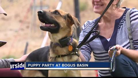 Bogus Basin hosts 'Puppy Party' for National Dog Day