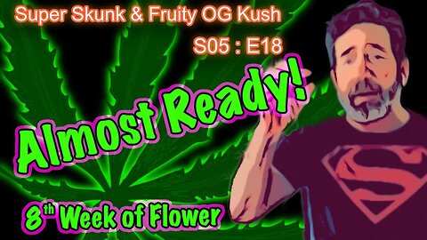 S05 E18 Super Skunk / Fruity OG Kush Organic Cannabis Grow – Week 7 of Flower & Time to Harvest?