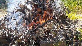 Wood fires, understanding them and on oils/resins