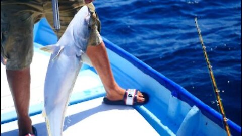 #Amazing Fast Tuna Fishing Skill, Catching Fish Big on The