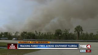 Tracking Forest Fires Across Southwest Florida