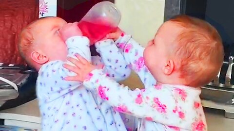 Funny Twins Babies Argue Everything || Cool Peachy