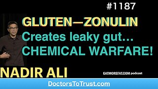 NADIR ALI 9‘ | GLUTEN—ZONULIN Creates leaky gut…CHEMICAL WARFARE!