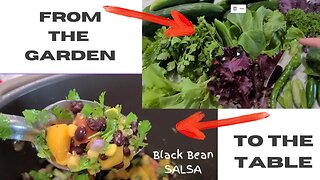Meals from the Garden - Black Bean and Corn Salsa