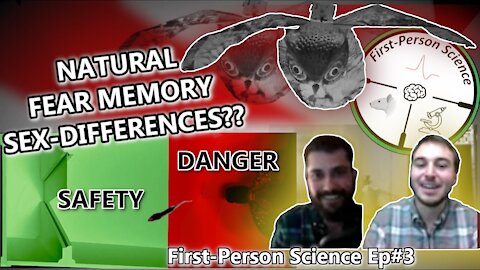 Fight Or Flight In The Amygdala | Experiential Learning Psychology Of Males Vs. Females | FPS#3