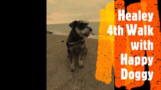 Healey 4th Walk with Happy Doggy
