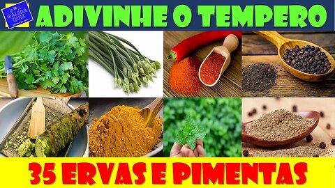 ADIVINHE O TEMPERO | CURIOSIDADES [Galera Quiz]