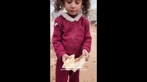 an Palestinian kid eating only bread she have nothing to eat with bread
