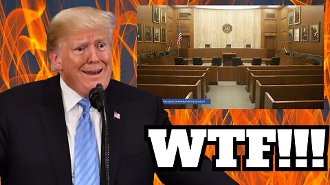 You Won't BELIEVE the Appeals Court Decision in President Trump's Immunity Case