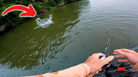 INSANE River Fishing (EPIC Topwater Blow Ups!)