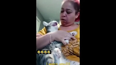 Funniest Cat Ever - Try Not to Laugh - Best of Tiktok 2022 #11