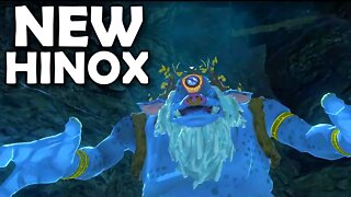 NEW BOSS! Breath of the Wild SECOND WIND | Basement