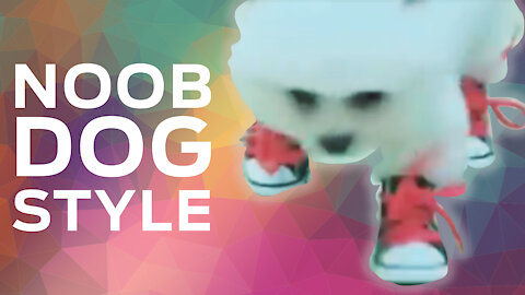 Dog baby style noob wearing sneakers (Cachorrinho fofinho de tênis)