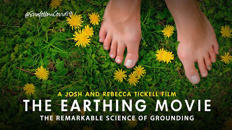 MUST WATCH: The Earthing Movie: The Remarkable Science Of Grounding