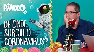 De onde surgiu o CORONAVÍRUS? Especialista explica