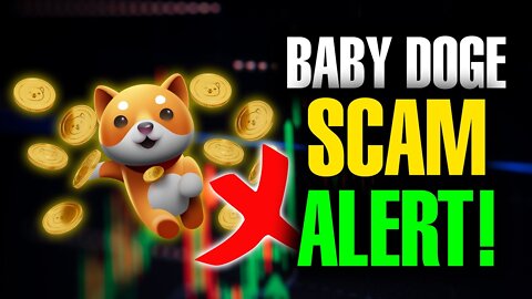 Is Baby Doge Coin a Scam - BabyDoge Cryptocurrency