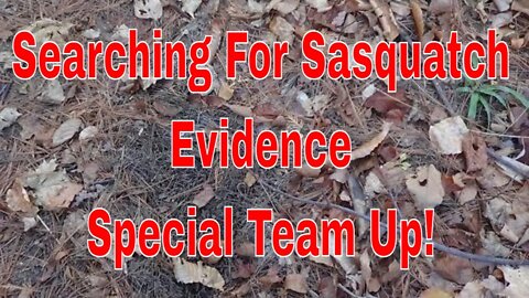 Team Up With My Cool Cousin Bob Searching For Sasquatch Signs!