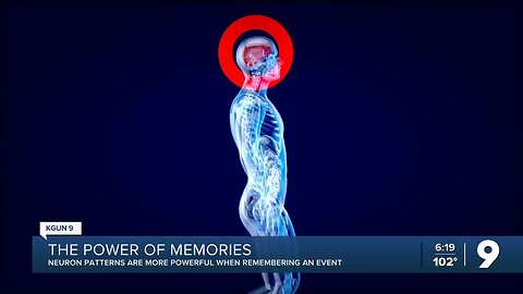 UA study reveals new findings about memory
