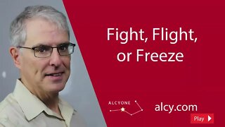 Fight, Flight, or Freeze