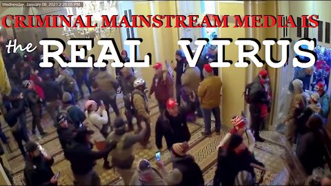 Lamestream Media IS THE VIRUS!! The JAN 6 'INSURRECTION' THEY SOLD YOU!!