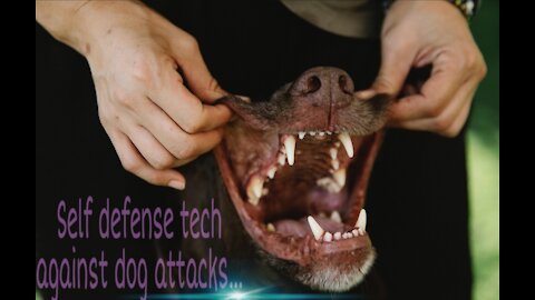 Self defense tech against dog attack😮