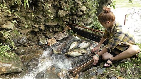 Natural fishing techniques _ build a fish trap system on a small stream - Trap a lot of fish Ep41