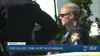 Woman killed, her mother injured after man stabs them in St. Pete