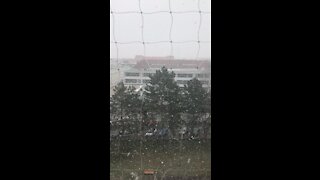 snowing day in vienna