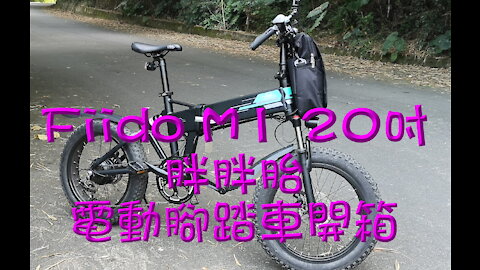 Fiido M1 20吋胖胖胎電動腳踏車, 摺疊車, 電輔車, 登山車開箱