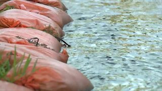 Flooding concerns in Hobe Sound after days of rain