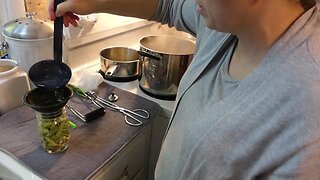 How to PRESSURE CAN GREEN BEANS