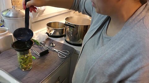 How to PRESSURE CAN GREEN BEANS