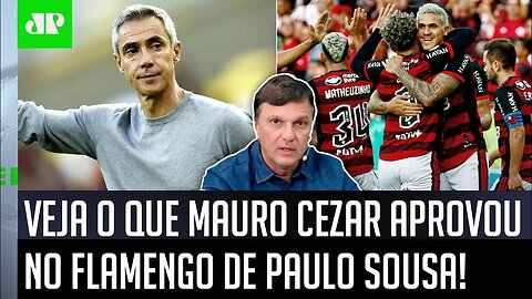 "Uma NOVIDADE que eu achei BEM INTERESSANTE no Flamengo foi..." Veja o que Mauro Cezar ELOGIOU!